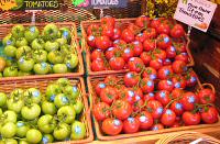 Red and green Stem Tomatoes